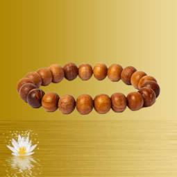 Zedernholz Armband elastisch